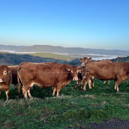 Gite De Montagne -Bellefosse Alsace エクステリア 写真