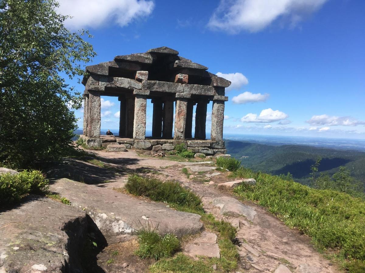 Gite De Montagne -Bellefosse Alsace エクステリア 写真