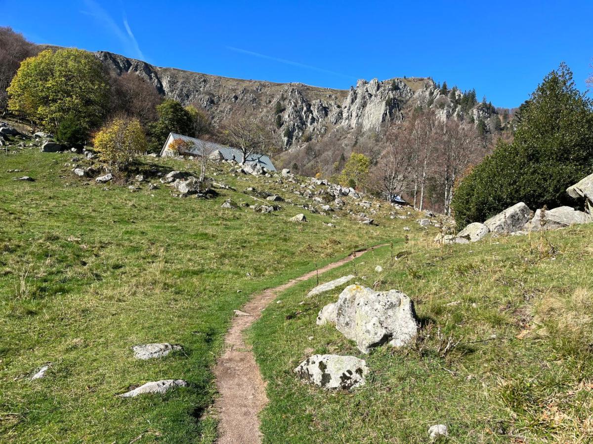 Gite De Montagne -Bellefosse Alsace エクステリア 写真
