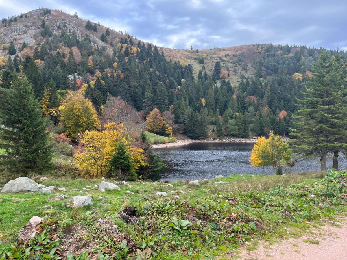 Gite De Montagne -Bellefosse Alsace エクステリア 写真