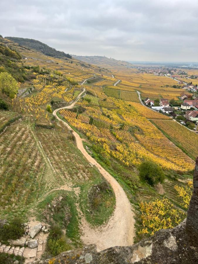 Gite De Montagne -Bellefosse Alsace エクステリア 写真