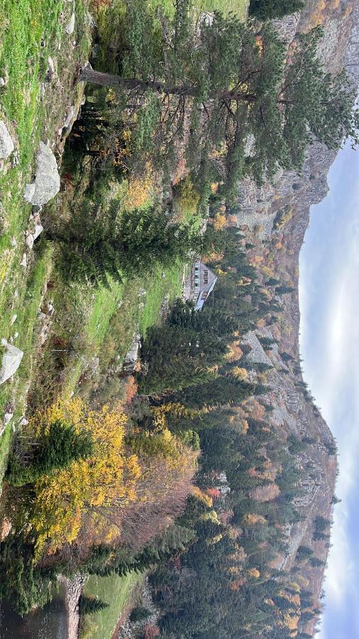 Gite De Montagne -Bellefosse Alsace エクステリア 写真