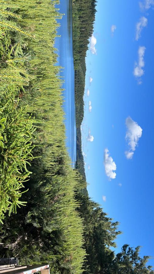 Gite De Montagne -Bellefosse Alsace エクステリア 写真