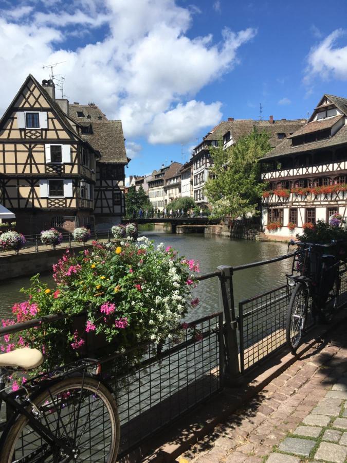 Gite De Montagne -Bellefosse Alsace エクステリア 写真