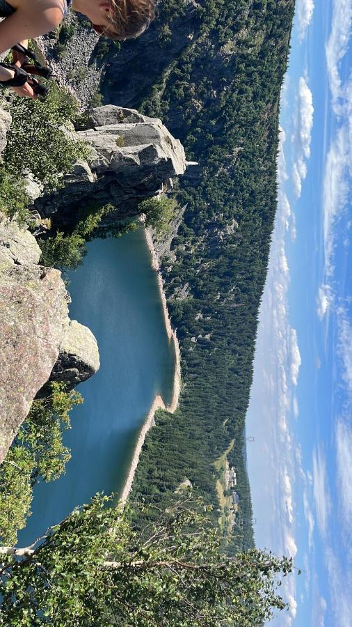 Gite De Montagne -Bellefosse Alsace エクステリア 写真