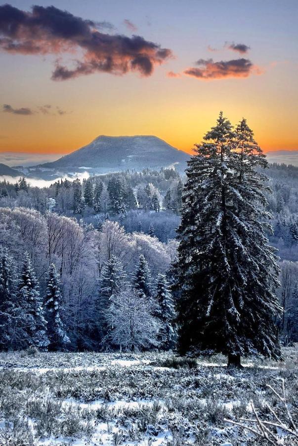 Gite De Montagne -Bellefosse Alsace エクステリア 写真
