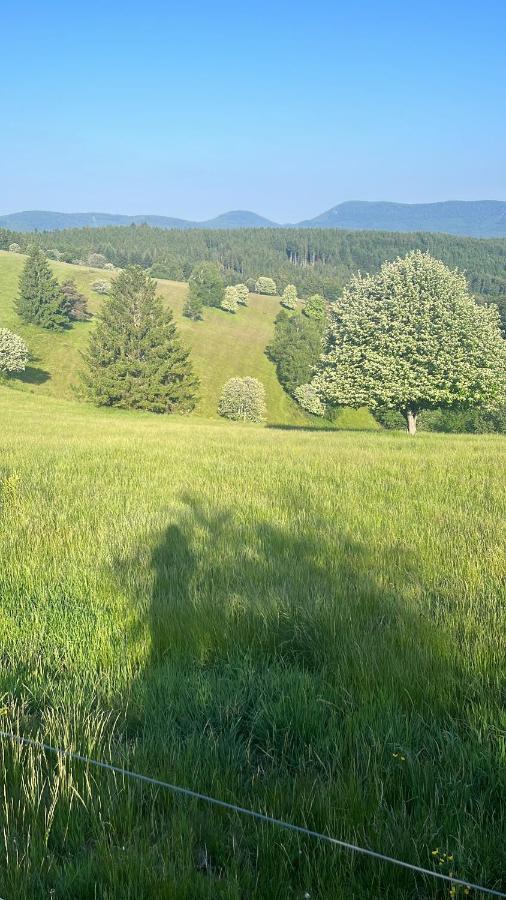Gite De Montagne -Bellefosse Alsace エクステリア 写真