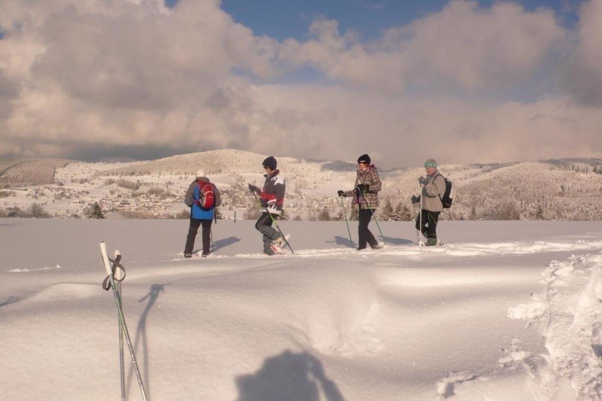 Gite De Montagne -Bellefosse Alsace エクステリア 写真