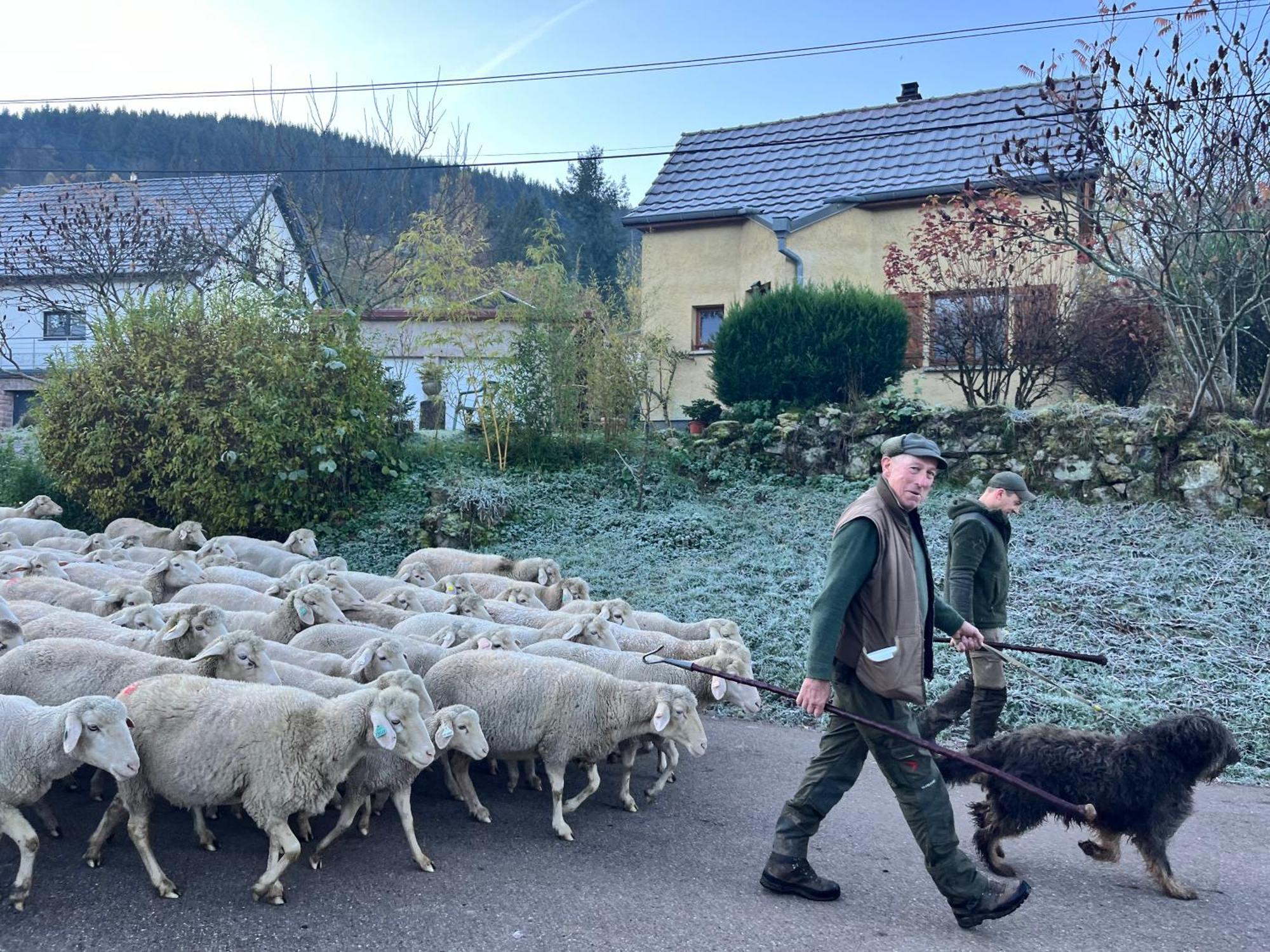 Gite De Montagne -Bellefosse Alsace エクステリア 写真