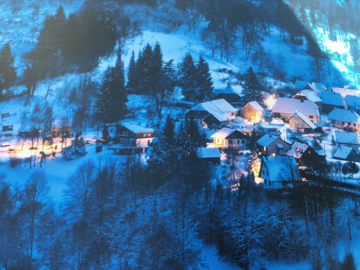 Gite De Montagne -Bellefosse Alsace エクステリア 写真